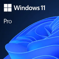 Thumbnail for Windows 11 Pro